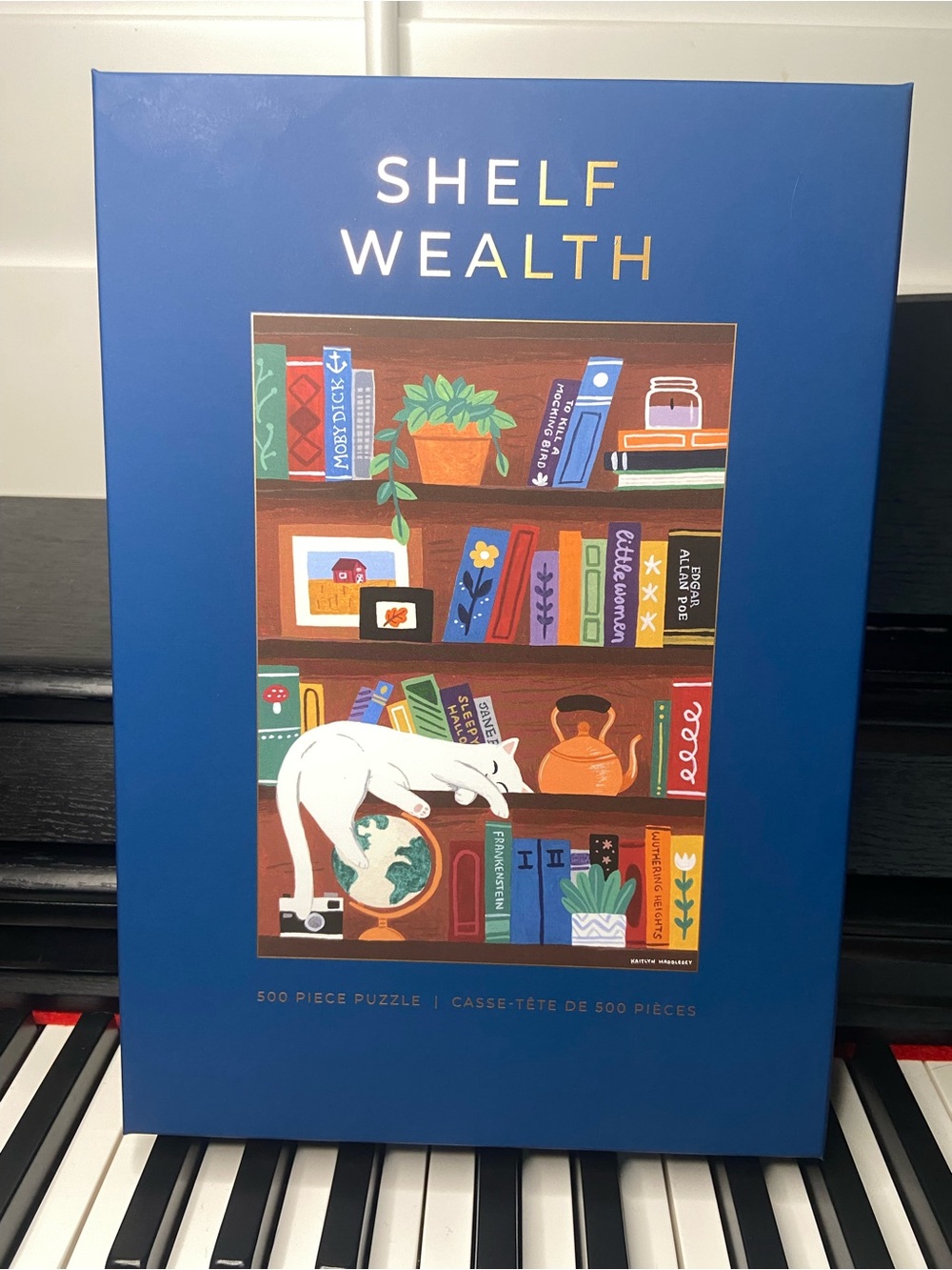HOBBRY 500-Piece Jigsaw Puzzle: Shelf Wealth— NEW!
